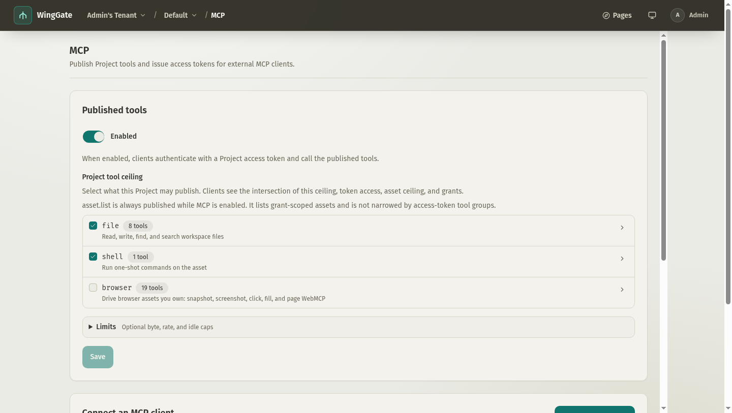 Project MCP page