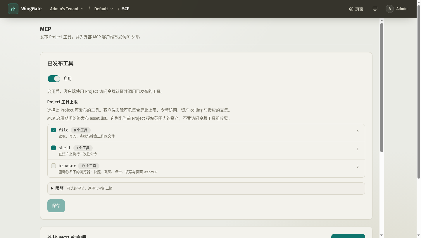 项目 MCP 页面